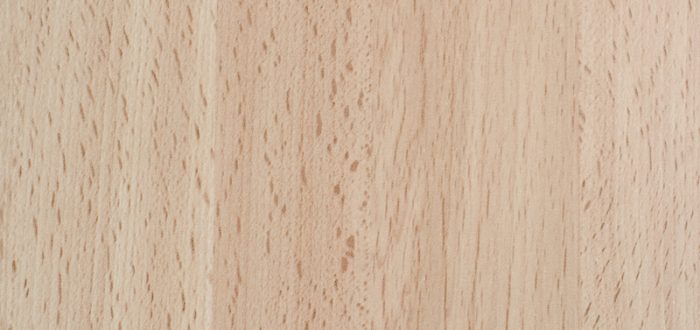 Base para Trofeo de Caza